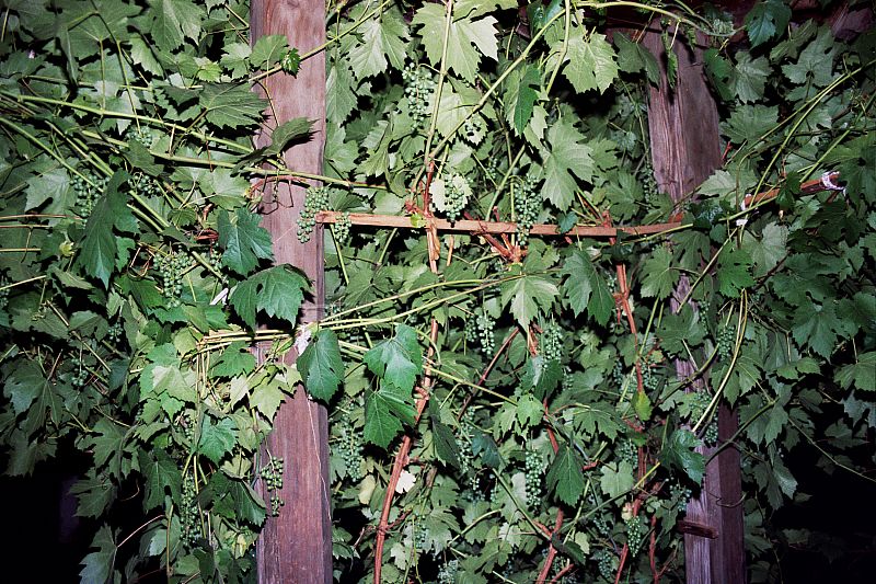 Foto: Rennkuckuck &copy;