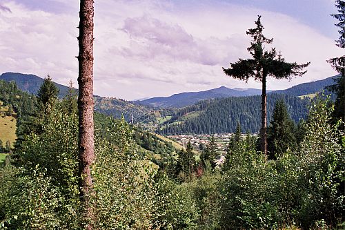 Foto:  &copy;