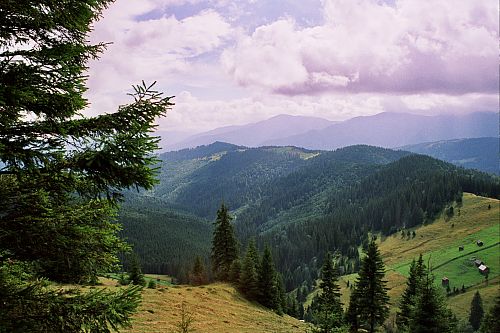 Foto:  &copy;