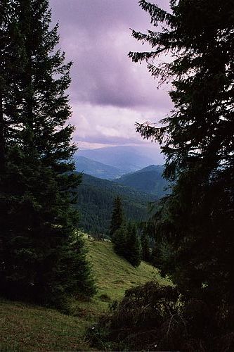 Foto:  &copy;
