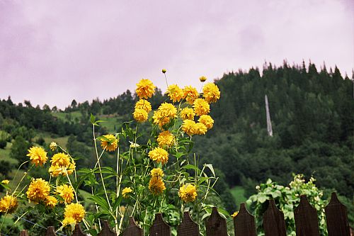 Foto:  &copy;