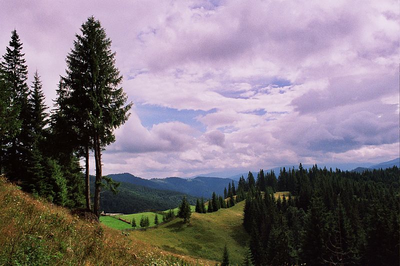 Foto:  &copy;