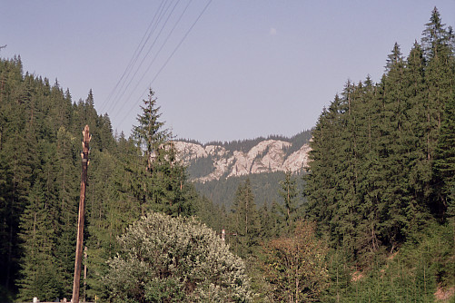 Foto: Rennkuckuck &copy;