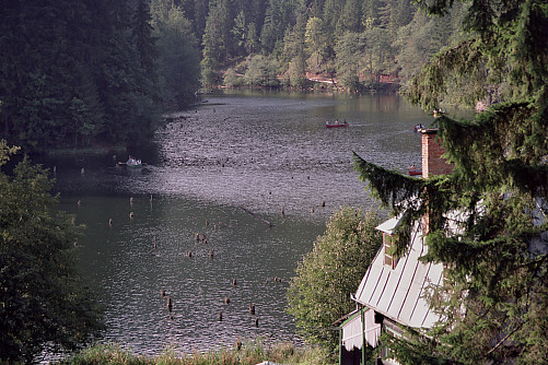 Foto: Rennkuckuck &copy;