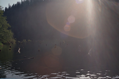 Foto: Rennkuckuck &copy;