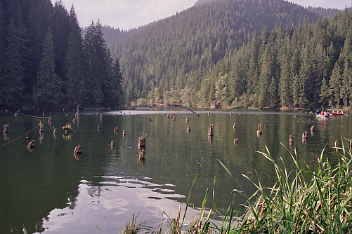 Foto: Rennkuckuck &copy;