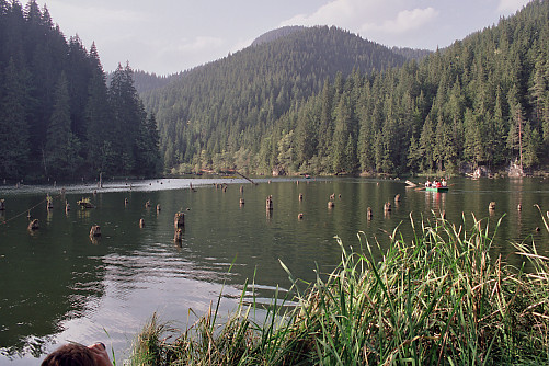 Foto: Rennkuckuck &copy;