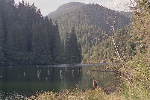 Foto: Rennkuckuck &copy;