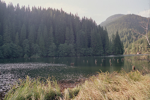 Foto: Rennkuckuck &copy;