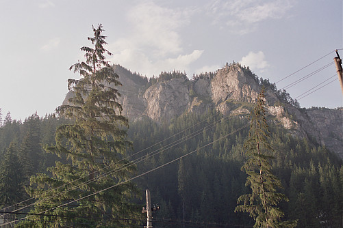 Foto: Rennkuckuck &copy;