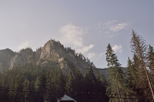 Foto: Rennkuckuck &copy;