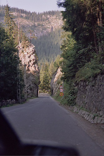 Foto: Rennkuckuck &copy;