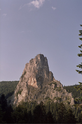 Foto: Rennkuckuck &copy;