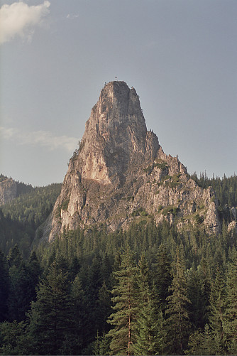 Foto: Rennkuckuck &copy;