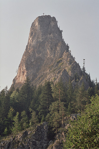 Foto: Rennkuckuck &copy;