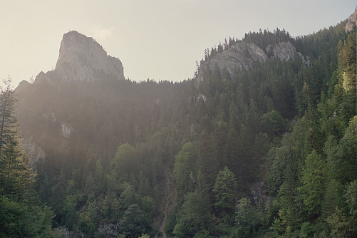 Foto: Rennkuckuck &copy;