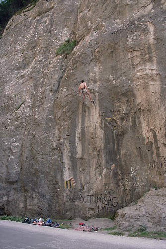 Foto: Rennkuckuck &copy;