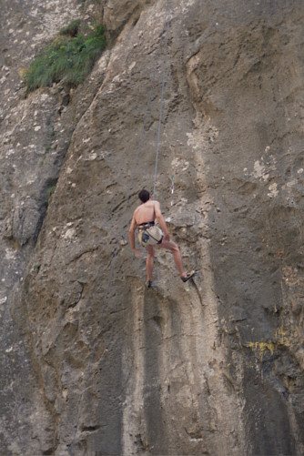 Foto: Rennkuckuck &copy;