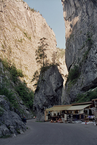 Foto: Rennkuckuck &copy;