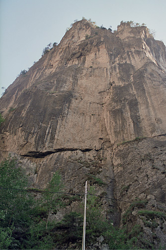 Foto: Rennkuckuck &copy;