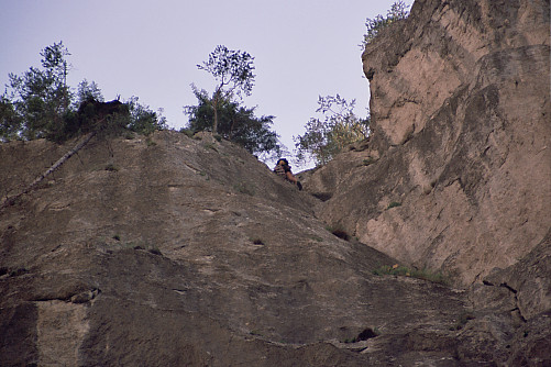 Foto: Rennkuckuck &copy;