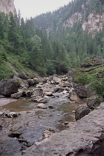 Foto: Rennkuckuck &copy;