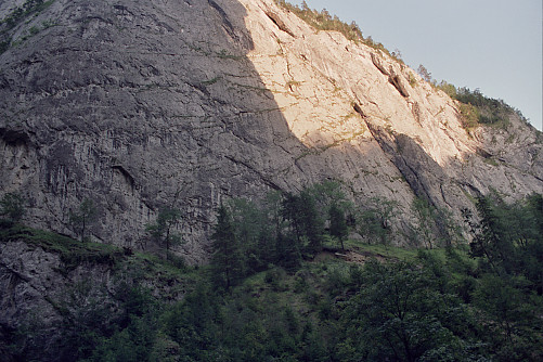 Foto: Rennkuckuck &copy;