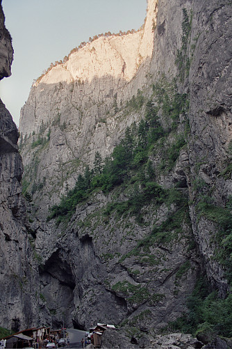 Foto: Rennkuckuck &copy;