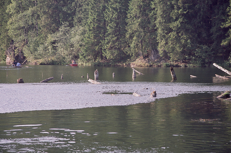 Foto: Rennkuckuck &copy;