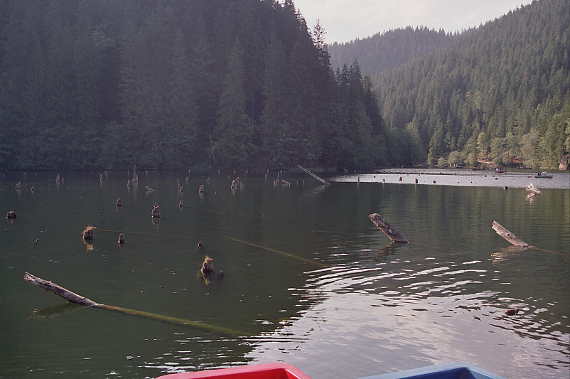 Foto: Rennkuckuck &copy;