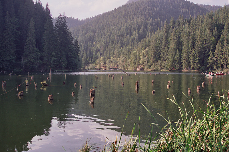 Foto: Rennkuckuck &copy;