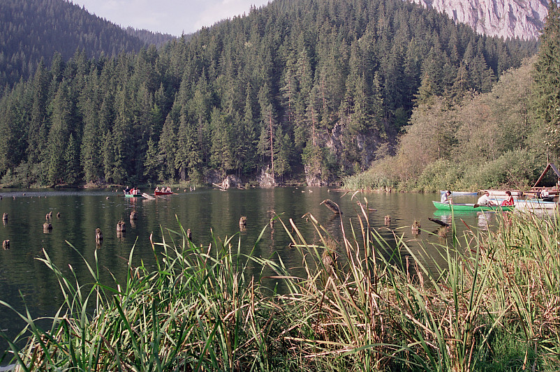 Foto: Rennkuckuck &copy;