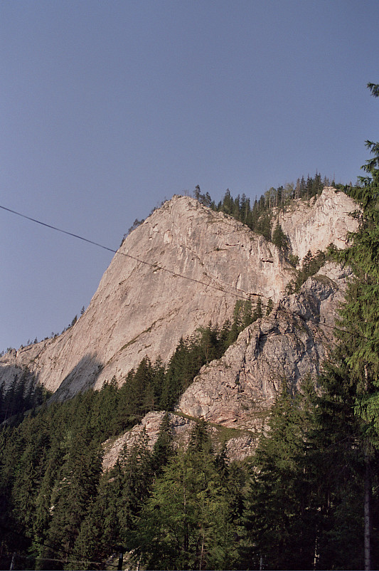 Foto: Rennkuckuck &copy;