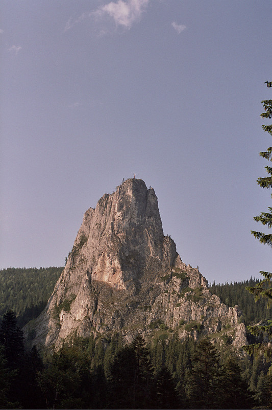 Foto: Rennkuckuck &copy;