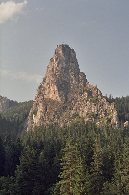 Foto: Rennkuckuck &copy;