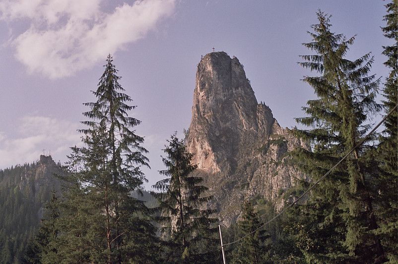 Foto: Rennkuckuck &copy;