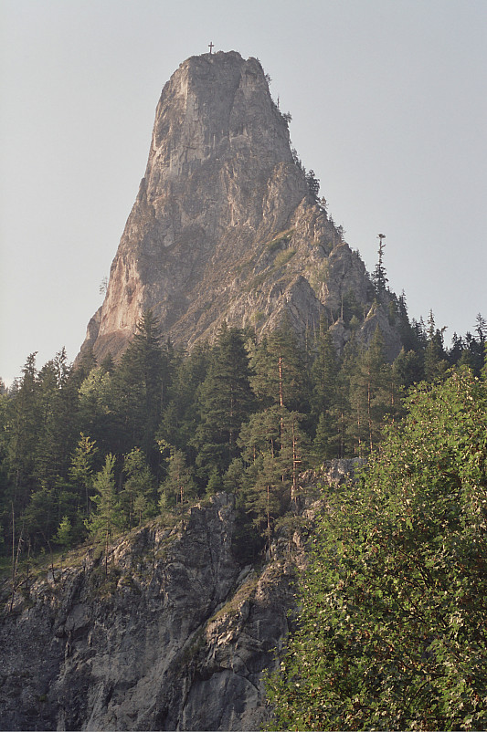 Foto: Rennkuckuck &copy;