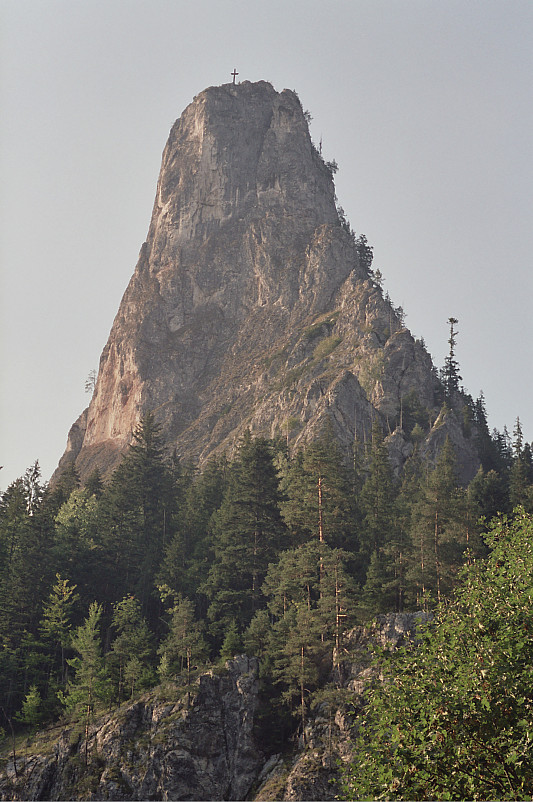 Foto: Rennkuckuck &copy;