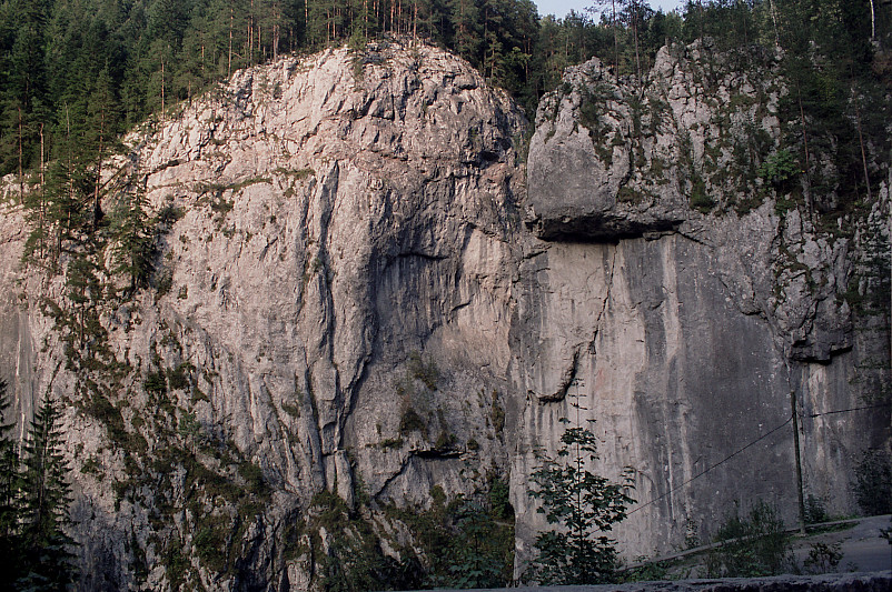 Foto: Rennkuckuck &copy;