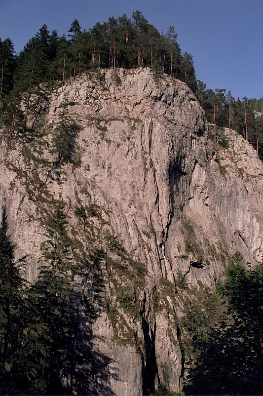 Foto: Rennkuckuck &copy;