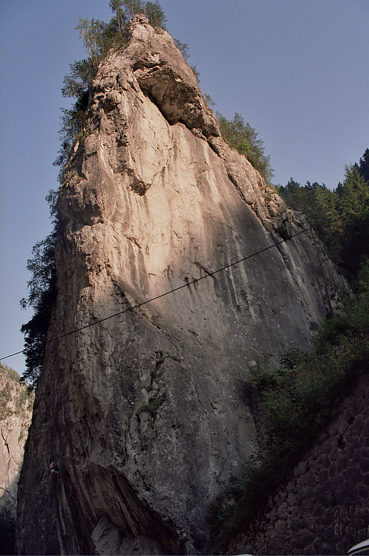 Foto: Rennkuckuck &copy;