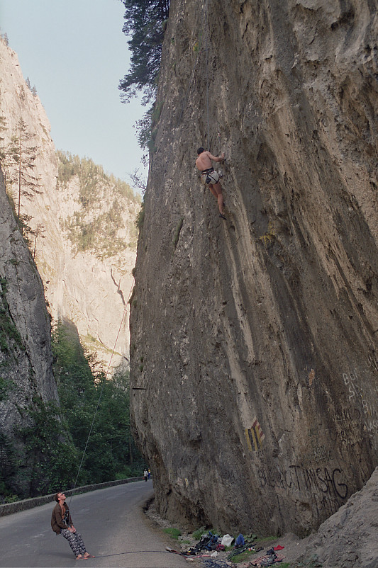 Foto: Rennkuckuck &copy;