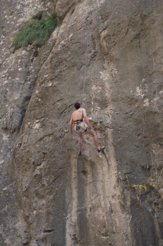 Foto: Rennkuckuck &copy;