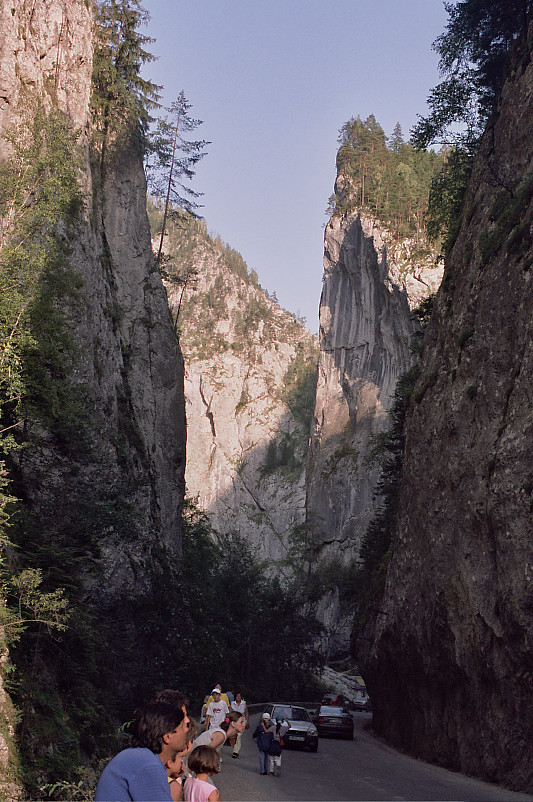 Foto: Rennkuckuck &copy;