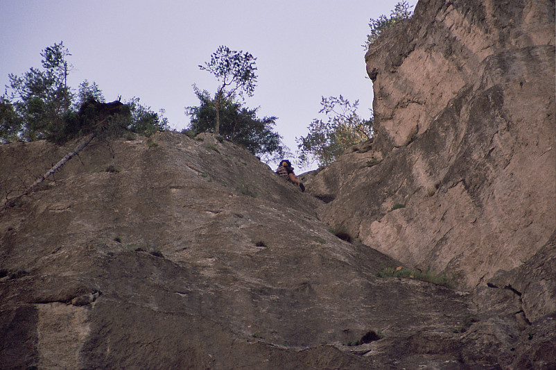 Foto: Rennkuckuck &copy;