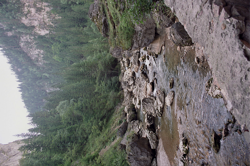 Foto: Rennkuckuck &copy;