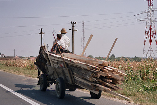 Foto: Rennkuckuck &copy;