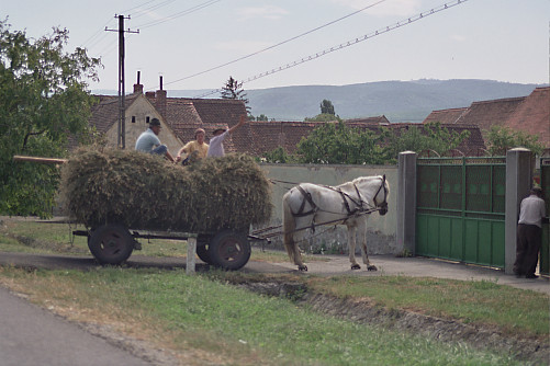 Foto: Rennkuckuck &copy;