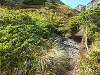 09.08.2012 13:38:27
09.08.2012
Rumänien 2012
Rumänienfotos