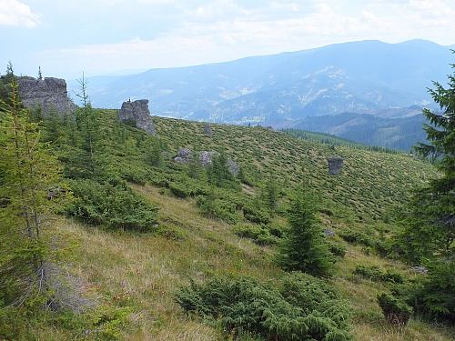 &copy; R.Thiel
09.08.2012 12:35:18
09.08.2012
Rumänien 2012
Rumänienfotos